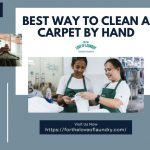 best-way-to-clean-a-carpet-by-hand-for-the-love-of-laundry