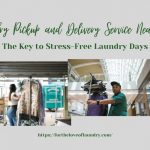 laundry-pickup-and-delivery-service-near-me